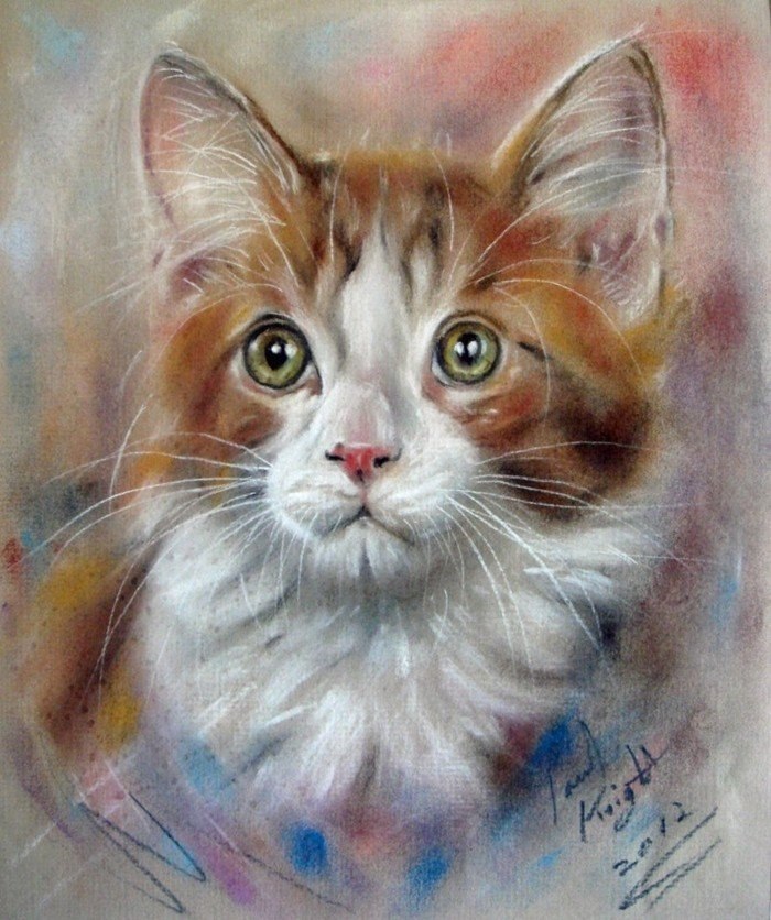     Paul Knight))) - 7