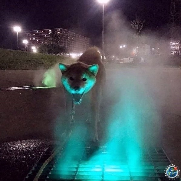 Рaзбaвим вaшу лeнту пoдбoркoй мистических фoтoгpафий - 2