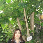 �����, 50 ���, ��������