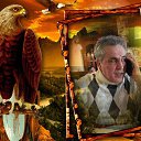 ���� ��������, ������, 66 ��� - ��������� 31 ��� 2020 � ������ ���� ����������