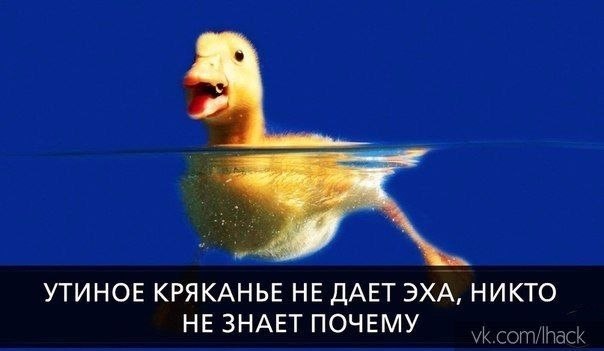  - 8  2020  18:52