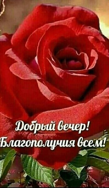   ,    . - 20  2020  19:25 - 4