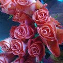 ���� �������, �����-���������, 48 ��� - ��������� 27 ������ 2020 � ������ ���� ����������