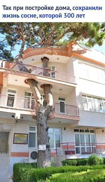 K�p��ka - 4 ���� 2020 � 16:45