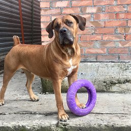 ���� ��������, ������-��-���� - ��������� 6 ������� 2020