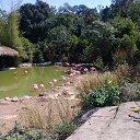 ���� ����, ������� ����, 63 ���� - ��������� 18 ����� 2020 � ������ ���� ����������