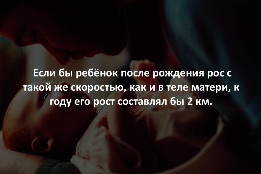 ������� - 29 ������� 2020 � 19:17