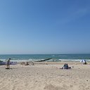 ���� �������, ����������� - ��������� 25 ���� 2020 � ������ ��������