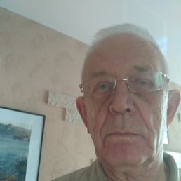 , , 81 