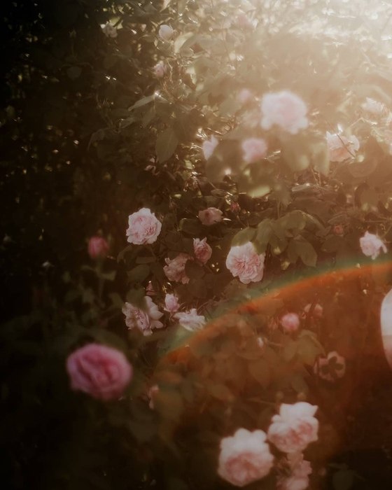 �������� - 3