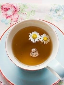 Каждое утро, встречая зарю, Я, как молитву, себе говорю: - Радуйся солнцу и радуйся свету, Звонкой ... - 5