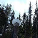 ���� Annushka, ������, 57 ��� - ��������� 4 ���� 2020