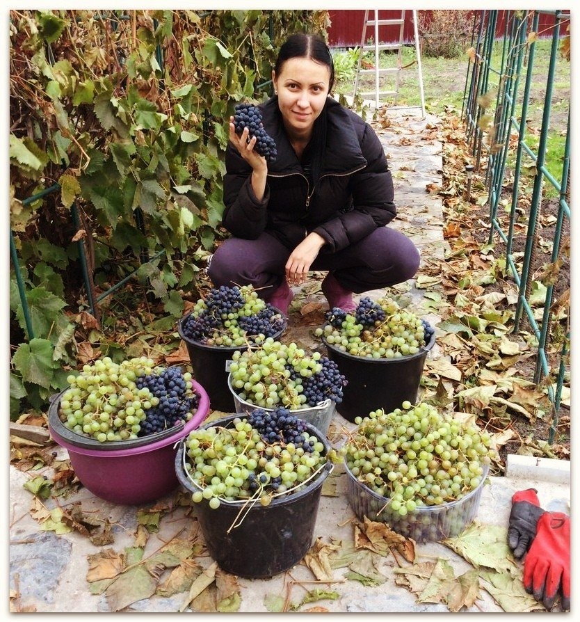 ������� ������!