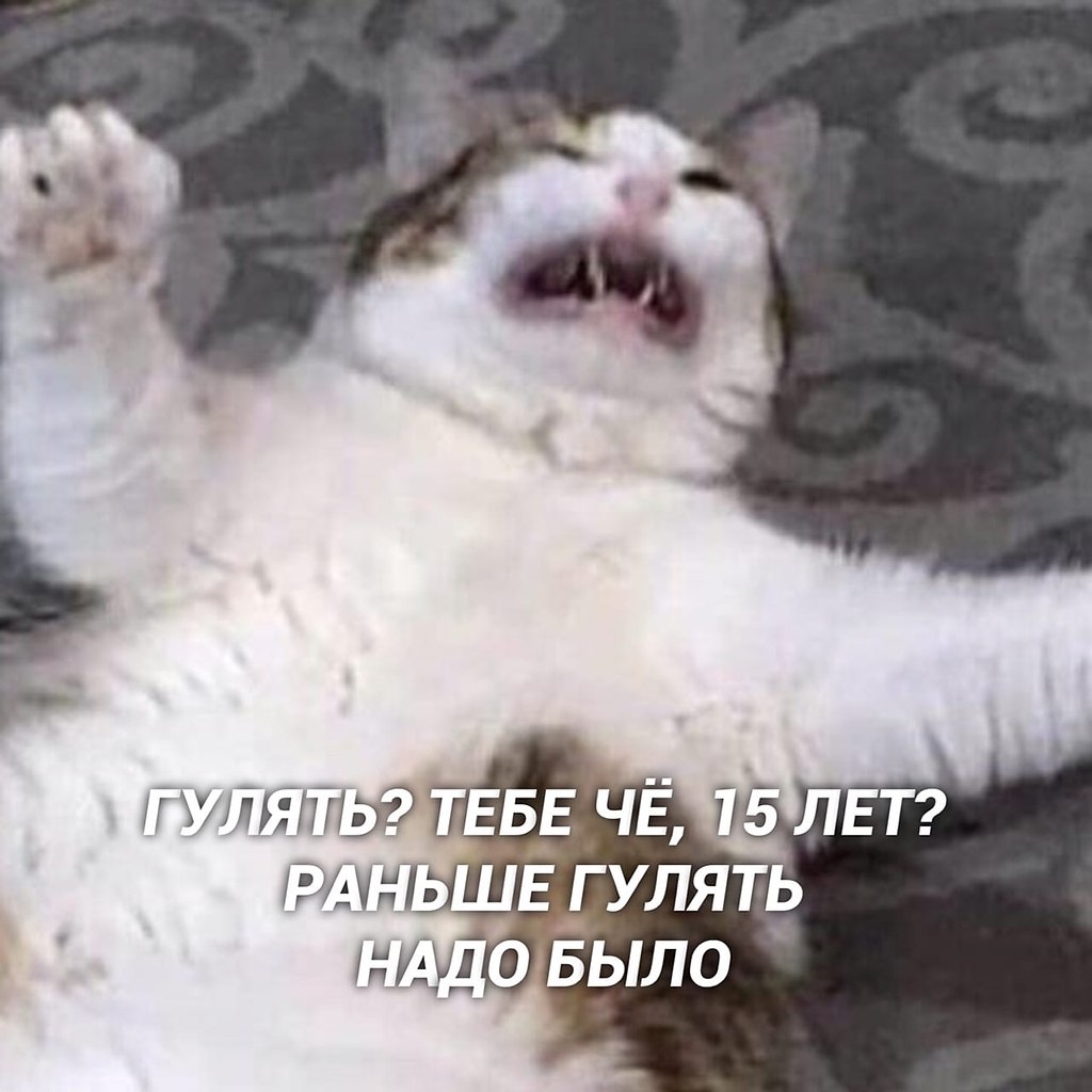    ,   ,     - 5