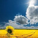 ���� ������, ������, 58 ��� - ��������� 18 ������ 2020