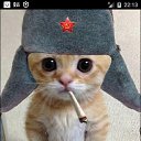 ���� �������, �����, 61 ��� - ��������� 26 ���� 2020 � ������ �������