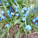 ���� �����, ������, 62 ���� - ��������� 21 ������ 2020 � ������ ������ ��������