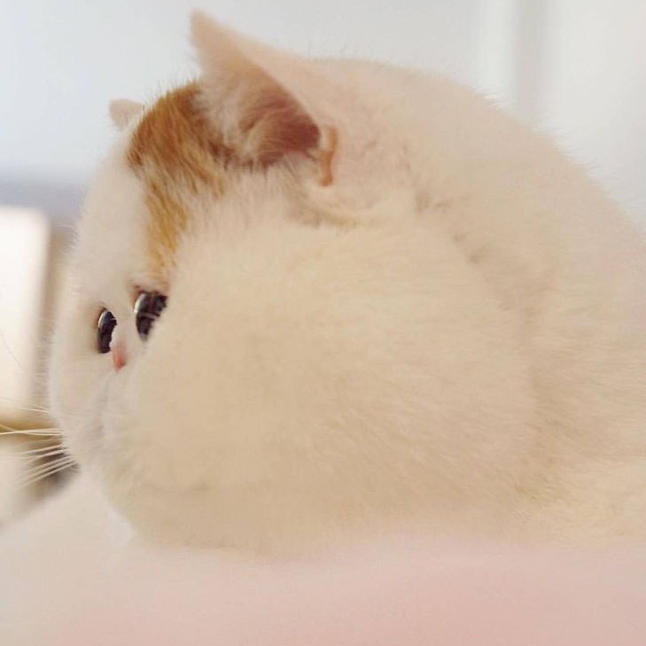 Повышенной щёчности пост - 6