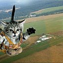 ���� ���������, ������-��-����, 55 ��� - ��������� 14 ����� 2020 � ������ ���� ����������