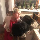 ���� �������, ������ - ��������� 16 ��� 2020 � ������ ���� ����������