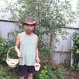 �����, ������, 57 ���