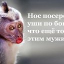 ���� ����, ��������, 54 ���� - ��������� 17 ���� 2020 � ������ ���� ����������