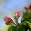 ���� ������, �������������-���������� - ��������� 11 ���� 2020 � ������ ����� ��� � ��� ���� ������...�