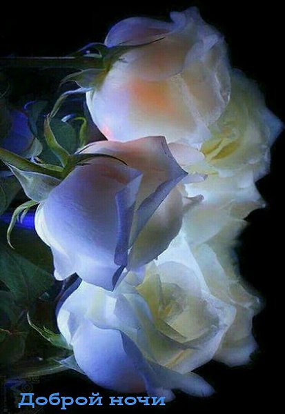   ,    . - 20  2020  19:25 - 5