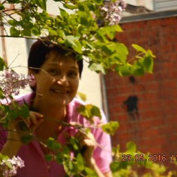 ������ ����������