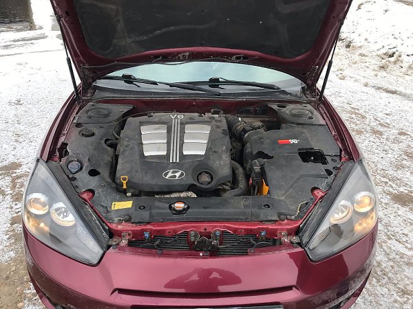 Hyundai Tiburon II (GK)  2007 .   2.7 V6  , ... - 4