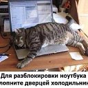 ���� �������, �������� - ��������� 1 ����� 2020 � ������ ������ ��������