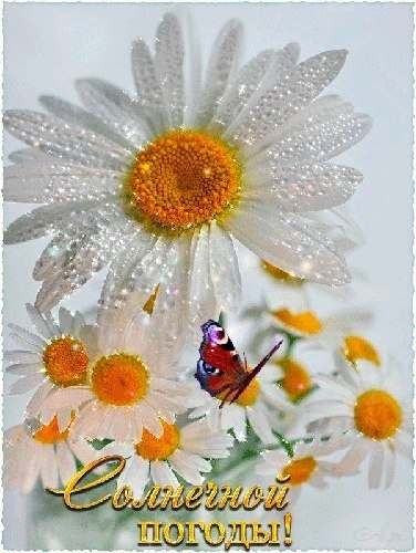   ,    . - 21  2020  12:44 - 2