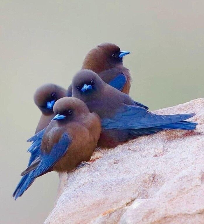 Капельки радости! - 8 апреля 2020 в 15:35