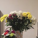���� ��������, �����-���������, 61 ��� - ��������� 16 ����� 2020 � ������ ���� ����������