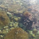 , ,07.07.20.8.50.    2020