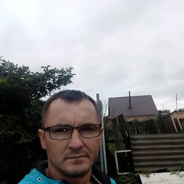 ������, ���, 41 ���