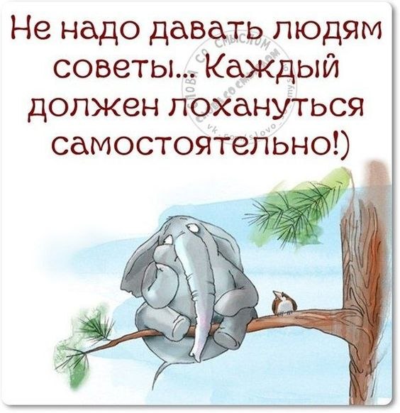 ������ - 15 ������ 2020 � 16:02