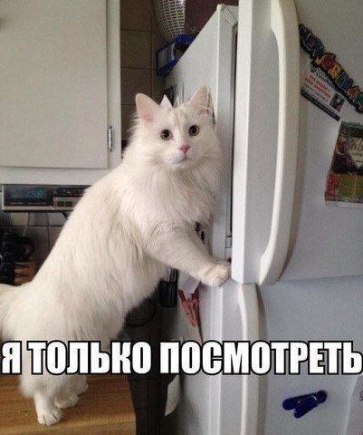��� �������� �������� - 11 ������ 2020 � 18:50