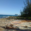 ���� ������, �����-���������, 43 ���� - ��������� 18 ����� 2020 � ������ �Celebrity Equinox ���. 19 - ����.20�