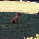 ���� ����, ������, 60 ��� - ��������� 31 ����� 2020 � ������ ���� ����������