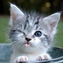 ���� ���� �-280, ������ - ��������� 19 ������ 2020 � ������ ���� ����������