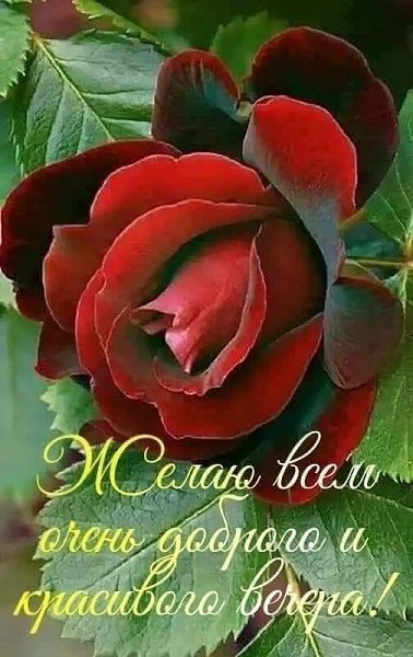   ,    . - 20  2020  19:25 - 2