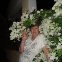 ���� ������, �����, 67 ��� - ��������� 25 ������ 2020 � ������ ���� ����������