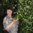 ���� �����, ������ - ��������� 21 ���� 2020 � ������ ������ ��������