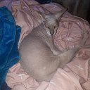  , -, 45  -  24  2020    