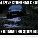���� &deg;&bull;*���� V ����...*&bull;&deg;, �������� - ��������� 15 ���� 2020 � ������ ������ ��������