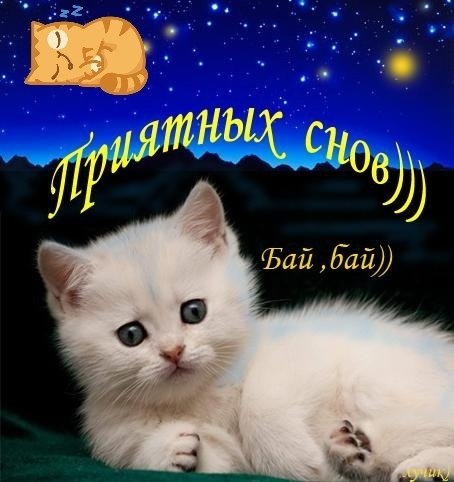 Пожелания спокойной ночи любимой девушке - в стихах, красивые, приятные