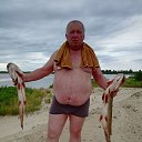 ���� �������, ������, 56 ��� - ��������� 21 ���� 2020 � ������ ���� ����������