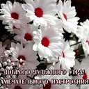 ���� ������, ������ - ��������� 8 ���� 2020 � ������ �������Ȼ
