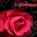 ���� ���������, �������, 72 ���� - ��������� 23 ����� 2020 � ������ ������